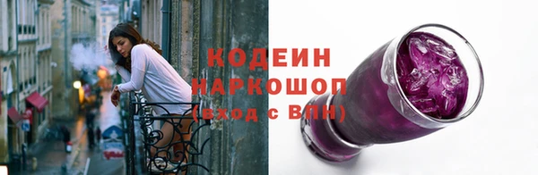 гидра Каменногорск