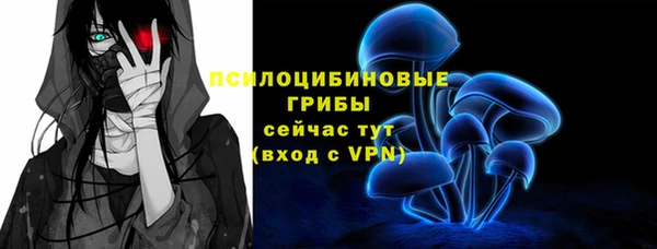 прущая мука Инта