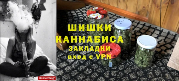 прущая мука Инта