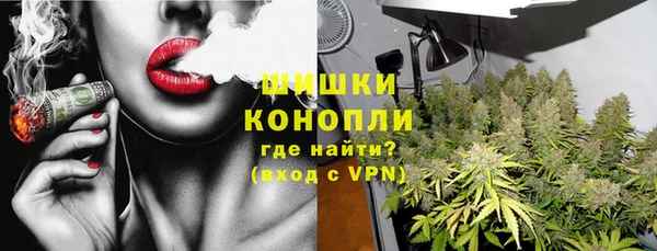 ALPHA PVP Иннополис