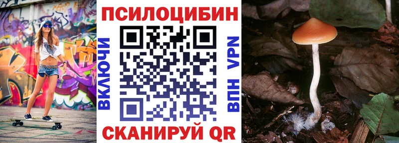 Купить где  Правдинск  Псилоцибиновые грибы мухоморы 